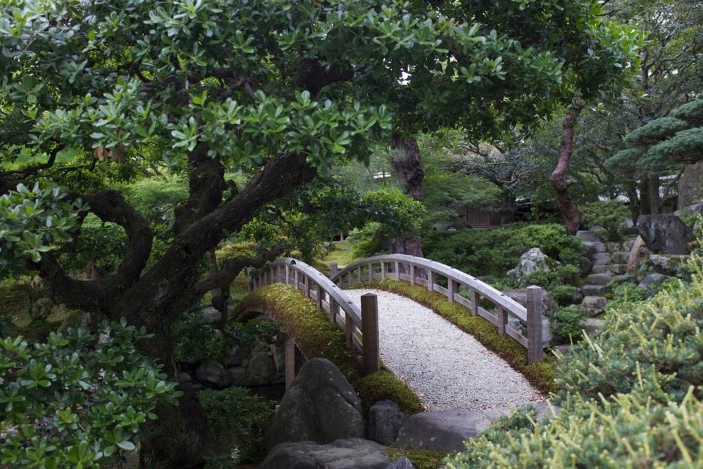 Bridge Design Garden Ideas: 7 Proven Ways to Avoid Costly Mistakes