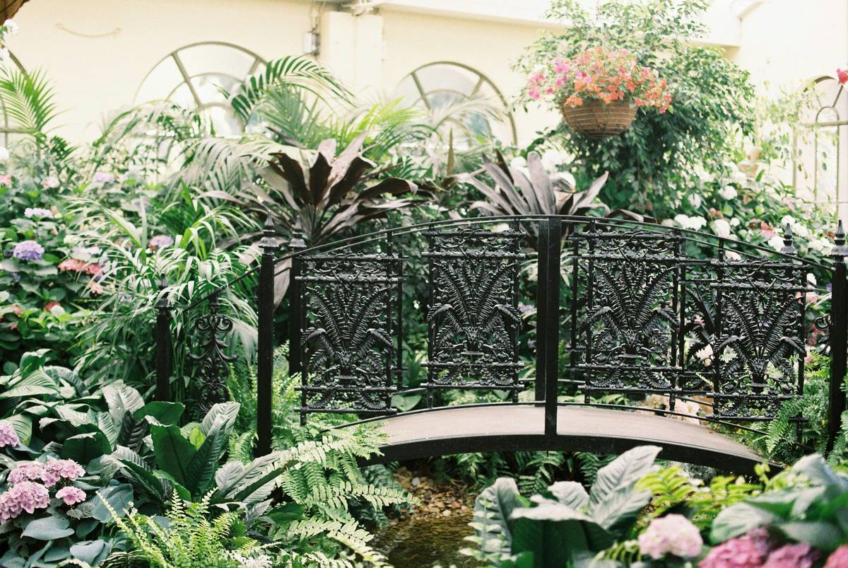 Bridge Design Garden Plans: 7 Proven Tips to Avoid Costly Mistakes