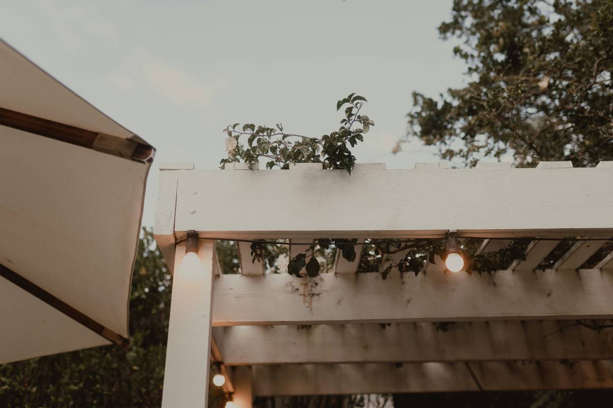 Garden Decor Bridge How to When: The Right Time and Way to Build Yours
