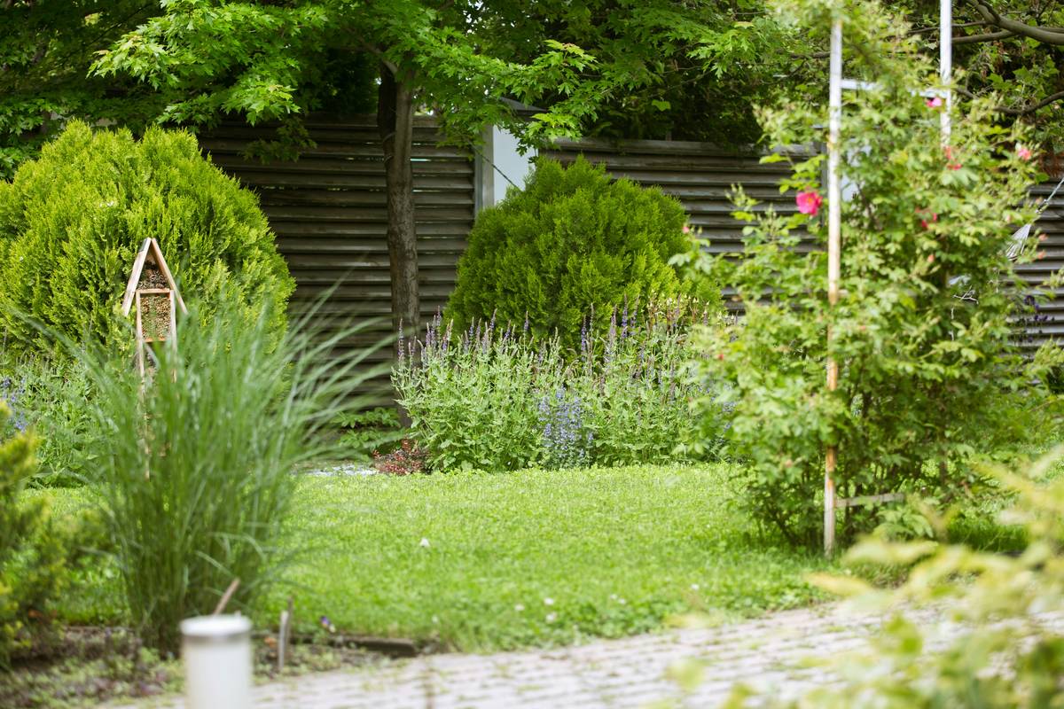 gardening landscaping wolseley bridge garden centre: How to Choose the Perfect Garden Bridge Without Overpaying