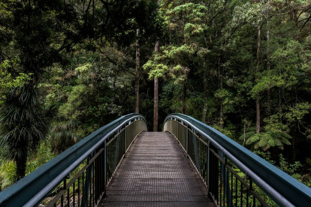 How to Build a Stunning Wood Bridge for Garden That Lasts Decades