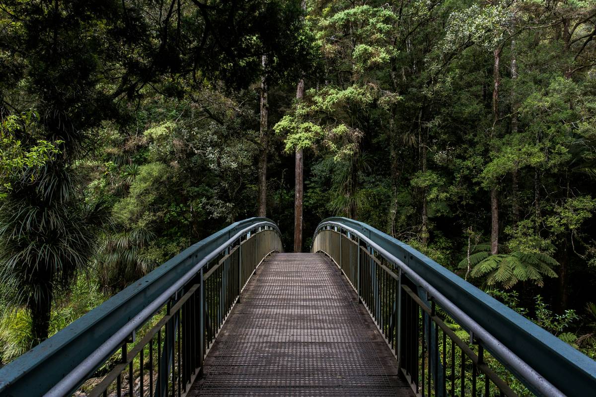 How to Build a Stunning Wood Bridge for Garden That Lasts Decades