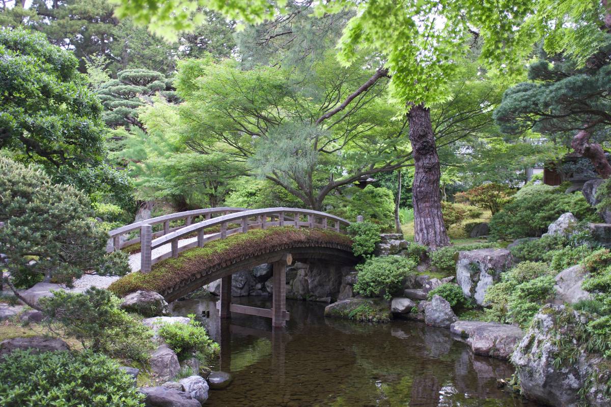 Landscaping Feature Garden Bridge How To: Build, Style, and Integrate Like a Pro