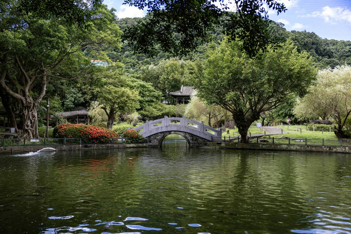 bridge design garden projects featuring a curved wooden walkway over a small stone-lined stream