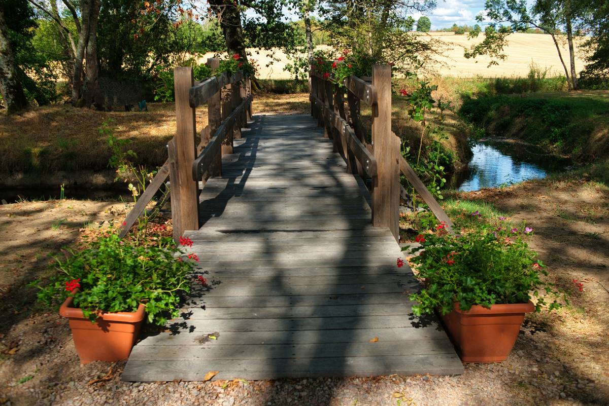 Diy Garden Bridge Ideas: 7 Proven Ways to Avoid Costly Mistakes