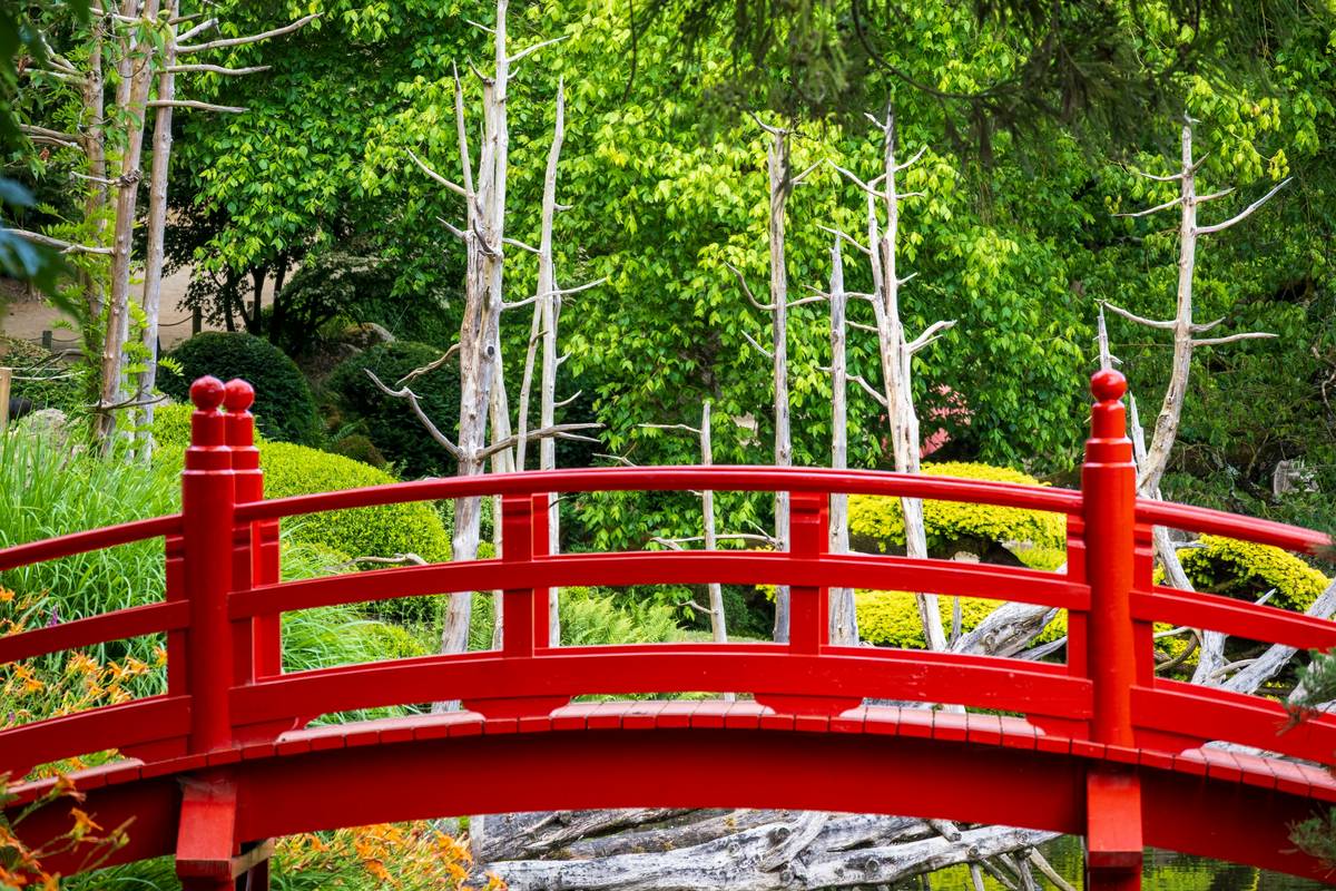 diy garden bridge ideas over a small backyard creek with stone borders and wooden railings