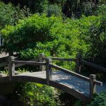 How to Build a Landscape Bridge: 7 Proven Steps to Avoid Costly Mistakes