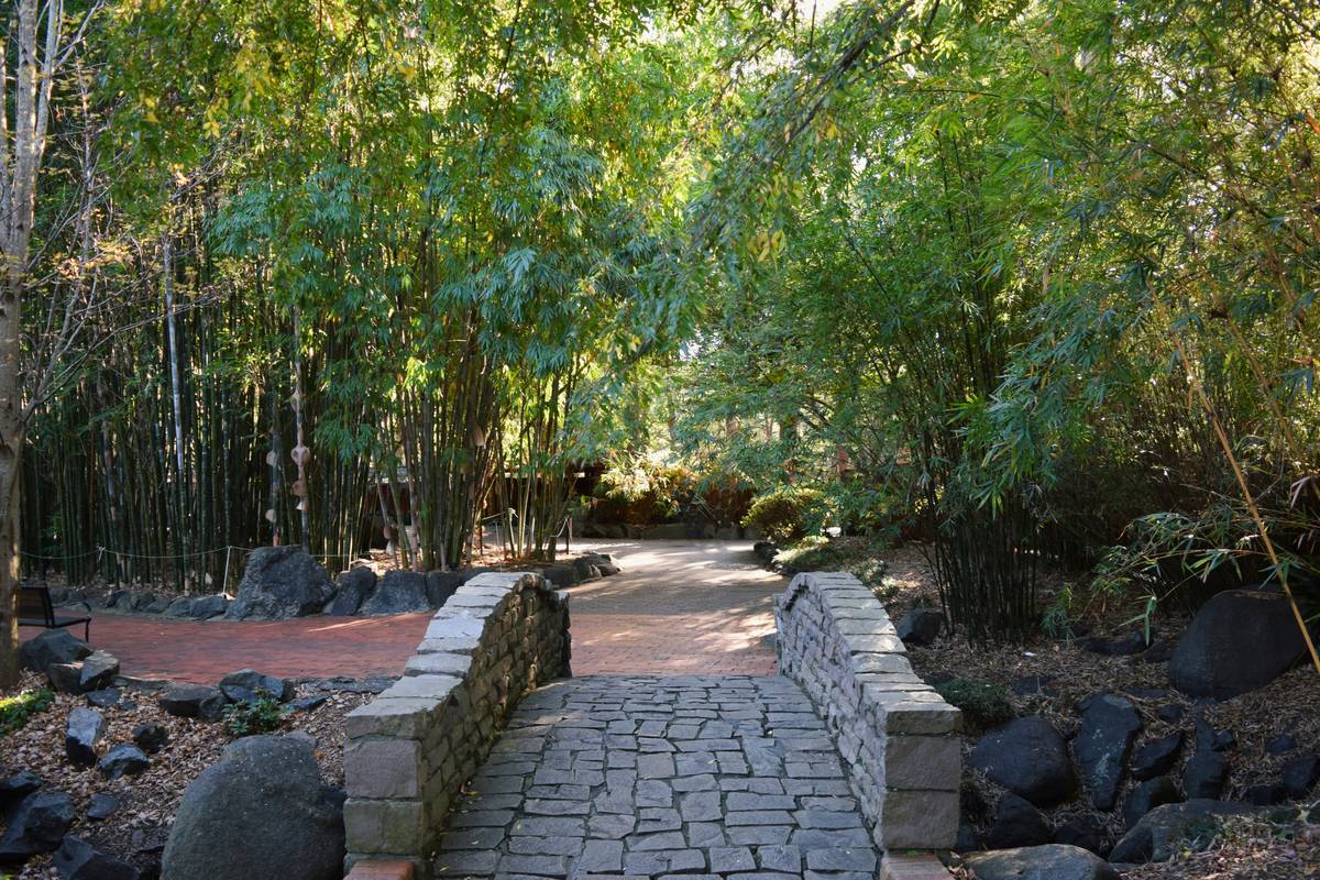 diy garden bridge plans showing a rustic wooden arch over a dry stream bed with stepping stones