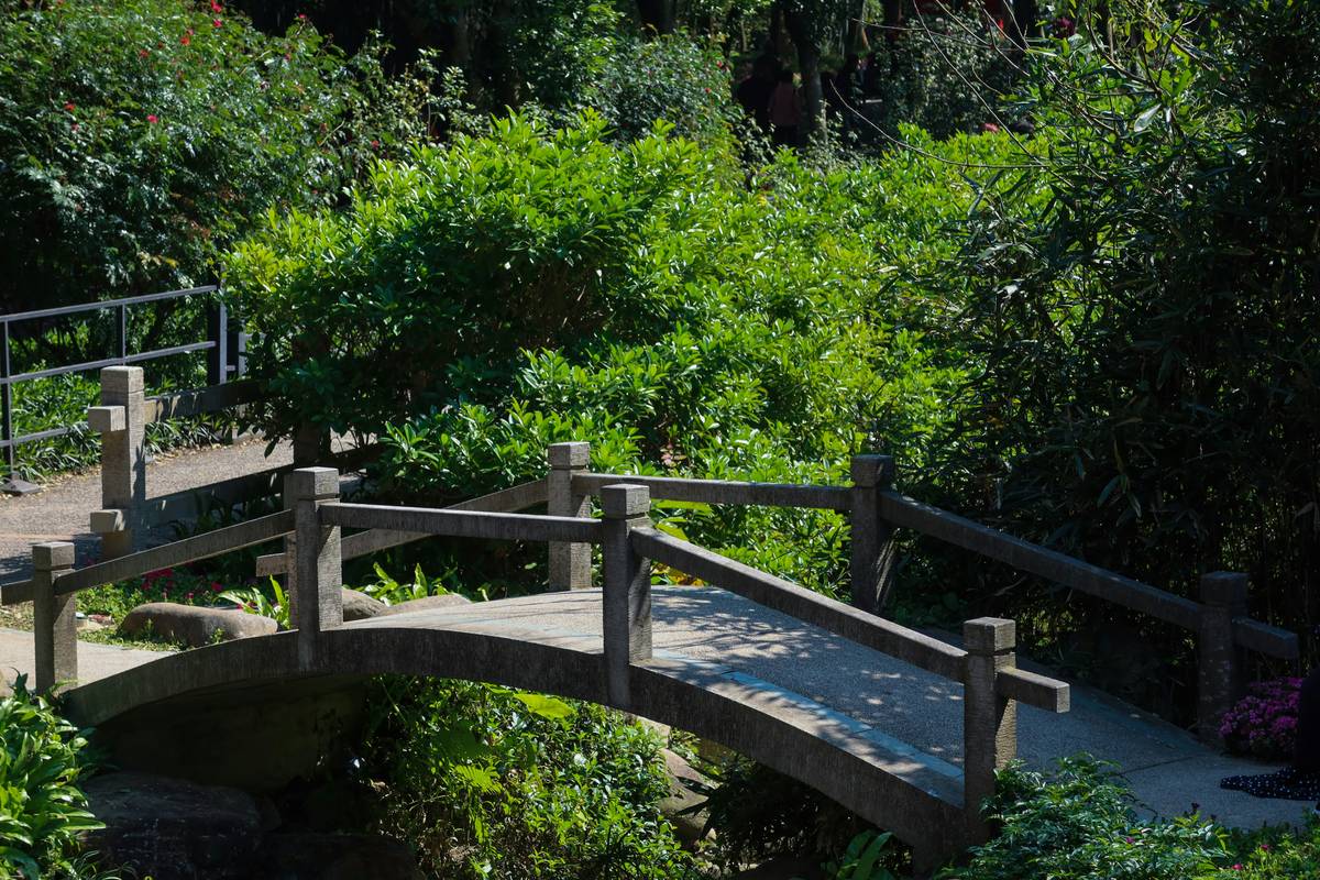 Plans for Garden Bridge: 7 Proven Tips to Avoid Costly Mistakes