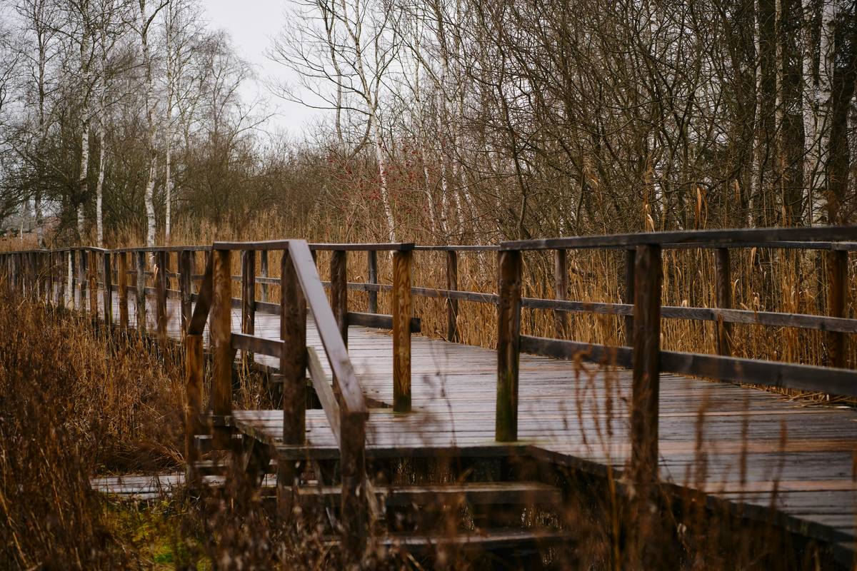 outdoor design garden bridge what not: leaning wooden bridge over dry creek bed with moss growth and cracked planks