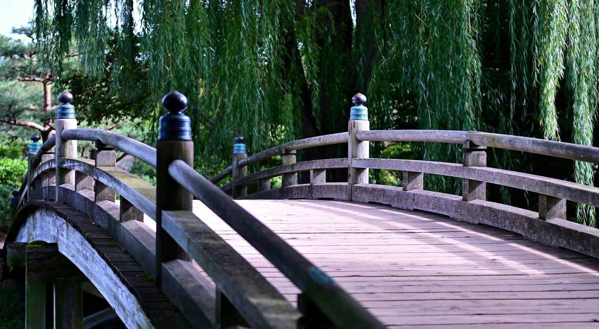 timber bridge for garden spanning a small backyard stream with stone-lined banks and ferns